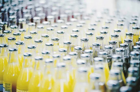 Soft Drinks Concentrates Market