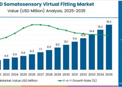 3D Somatosensory Virtual Fitting Market