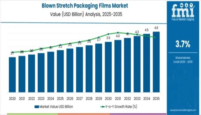 Blown Stretch Packaging Films Market