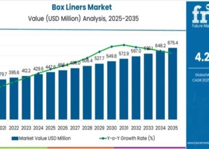 Box Liners Market
