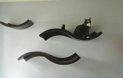Cat Window Perches & Wall Shelves Market