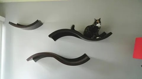 Cat Window Perches & Wall Shelves Market
