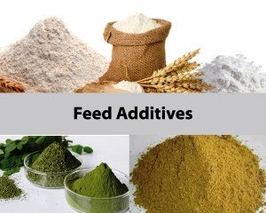 Feed Additive Nosiheptide Premix Market