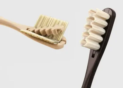 France Compostable Toothbrush Market