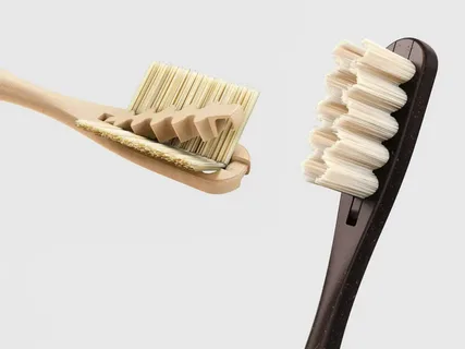 France Compostable Toothbrush Market