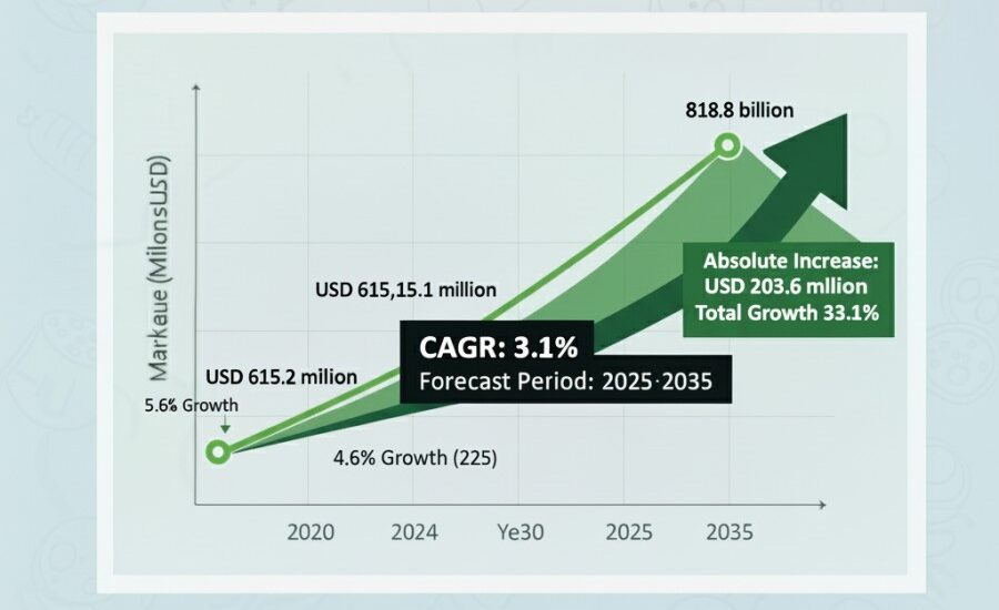 U.S. Glass Cutting Machine Market