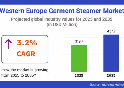 Western Europe Garment Steamer Market