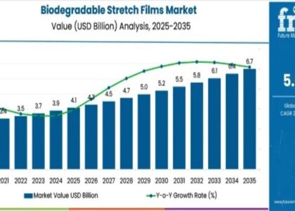 Biodegradable Stretch Films Market