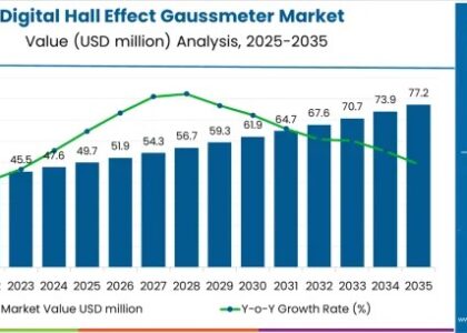 Digital Hall Effect Gaussmeter Market