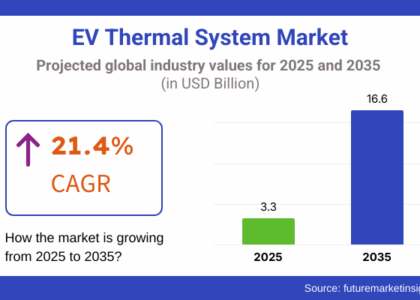 EV Thermal System Market