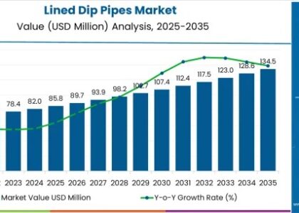 Lined Dip Pipes Market