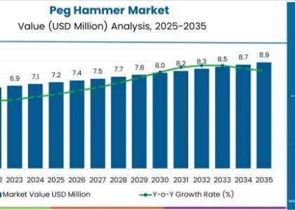 Peg Hammer Market