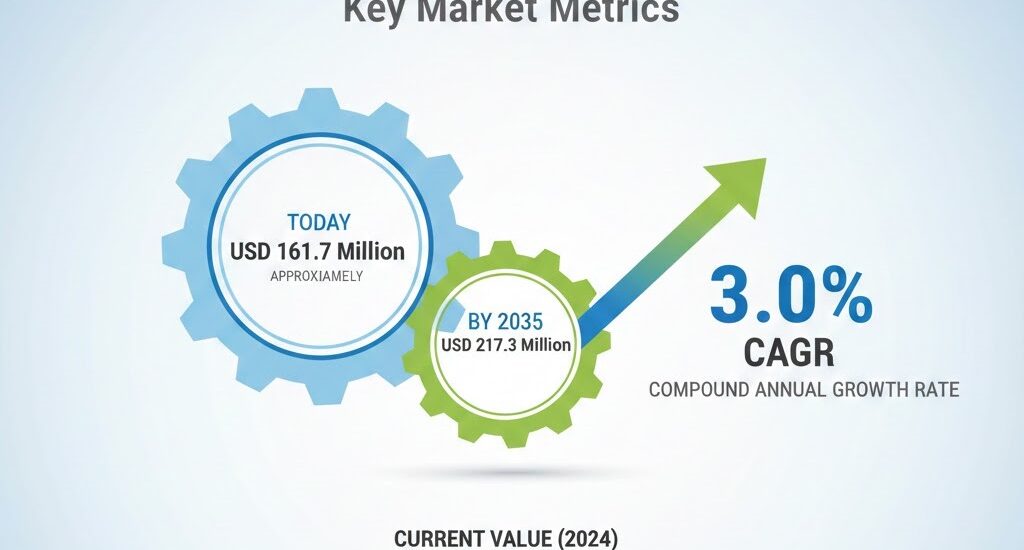 Slip on Shoes Market