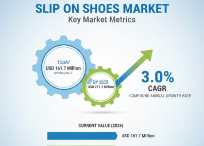 Slip on Shoes Market