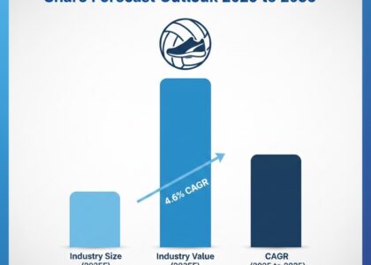Volleyball Shoes Market