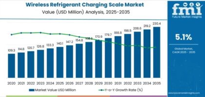 Wireless Refrigerant Charging Scale Market