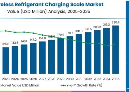 Wireless Refrigerant Charging Scale Market