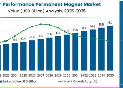 High Performance Permanent Magnet Market