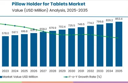 Pillow Holder for Tablets Market