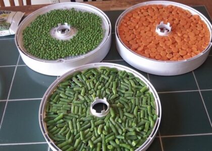 Dehydrated Vegetables Market