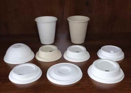 Disposable Lids Market