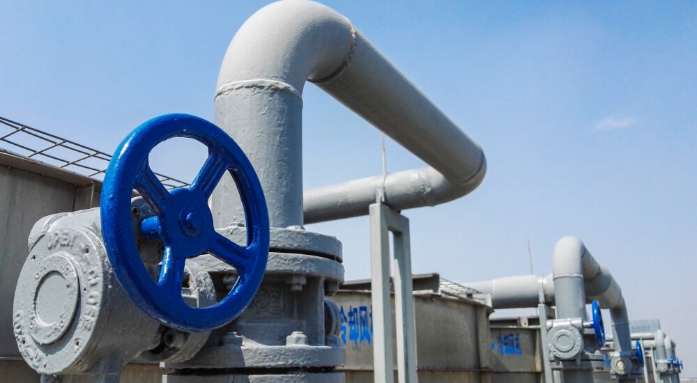 Sanitary Diaphragm Pump Market