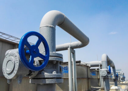 Sanitary Diaphragm Pump Market