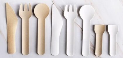 Disposable Cutlery Market