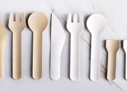 Disposable Cutlery Market