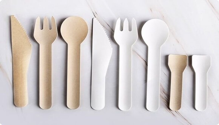 Disposable Cutlery Market