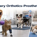 Veterinary Orthotics-Prosthetics Market Outlook Driven by Rising Pet Rehabilitation Demand