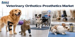 Veterinary Orthotics-Prosthetics Market Outlook Driven by Rising Pet Rehabilitation Demand