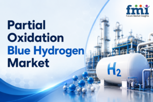 Partial Oxidation Blue Hydrogen Market Gains Momentum as Industrial Demand and Technology Innovation Drive Business Expansion
