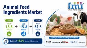 Antibiotic-Free Precision Nutrition in Animal Feed Ingredients: Why Functional Inputs Are Becoming Formulation Controls