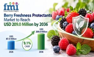 Berry Freshness Protectants Market to Reach USD 209.0 Million by 2036 at 9.1% CAGR; USA Leads Country Growth at 8.8%