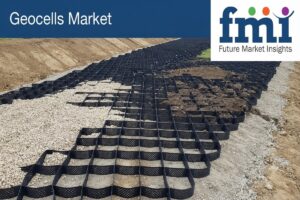 Geocells Market to Reach USD 307.1 Million by 2036 at 6.1% CAGR; China Leads Country Growth at 7.8%, Japan Trails at 5.3%