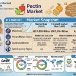 Pectin Market to Reach USD 1.6 Billion by 2036 at 4.6% CAGR; High Methoxyl (HM) Pectin Leads Product Types at 68.0%