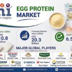 Top Companies in the SKM Egg Products, Eurovo Group, Bouwhuis EnthovenE gg Protein Market to Reach USD 20.3 Billion by 2036, Growing at 6.5% CAGR, FMI Report