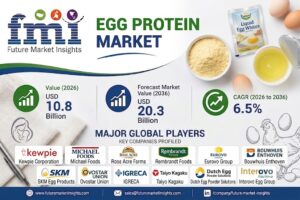 Top Companies in the SKM Egg Products, Eurovo Group, Bouwhuis EnthovenE gg Protein Market to Reach USD 20.3 Billion by 2036, Growing at 6.5% CAGR, FMI Report