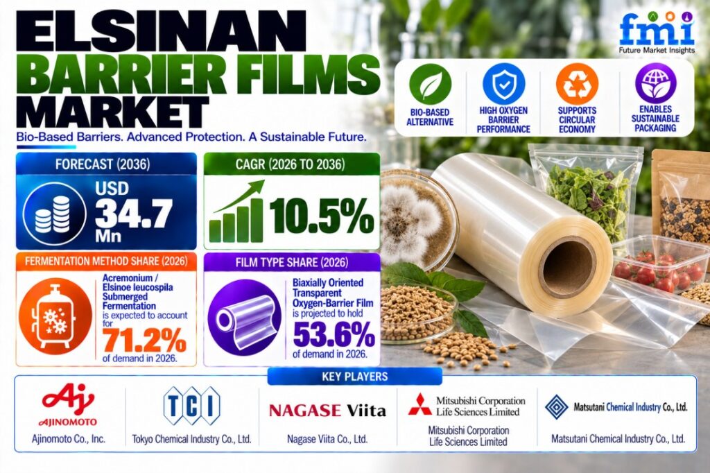 Elsinan Barrier Films Market: FMI Forecasts US$34.7 Million by 2036 | Top 10 Players