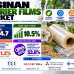 Elsinan Barrier Films Market: FMI Forecasts US$34.7 Million by 2036 | Top 10 Players