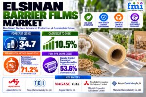Elsinan Barrier Films Market: FMI Forecasts US$34.7 Million by 2036 | Top 10 Players