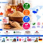 Top Players in the Maple Sugar Market: FMI Forecasts US$385.1 Million by 2036