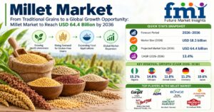 Top Players in the Millet Market: FMI Forecasts USD 64.4 Billion by 2036